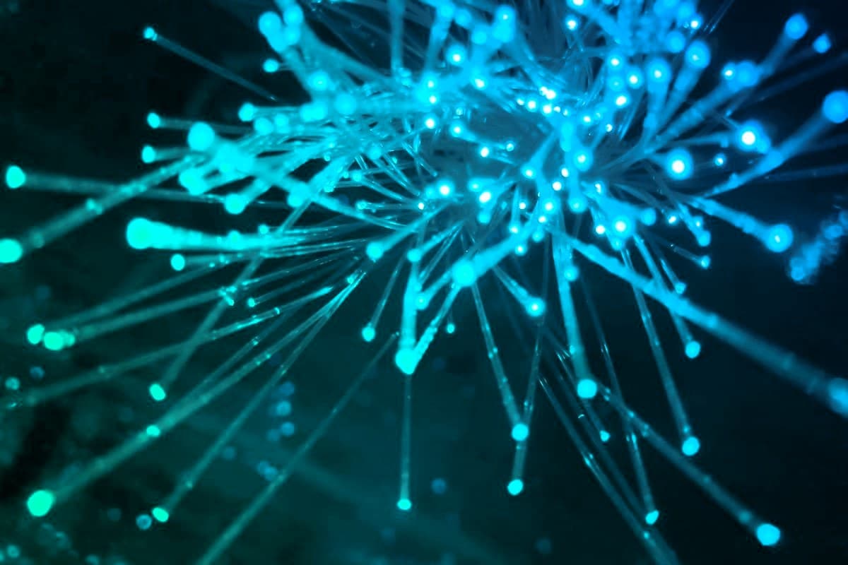 A glowing teal network of connected fibres